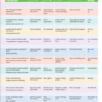 Academy Stars Level 4