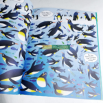 Usborne Picture Puzzle Book