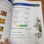 Reading For Vocabulary