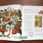 Bộ Sách The Story of Food : An Illustrated History of Everything We Eat 1 1