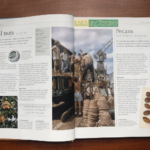 Bộ Sách The Story of Food : An Illustrated History of Everything We Eat 10 10 1