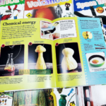 Bộ Sách Nhập Khẩu DK Findout - Trọn Bộ 14 Quyển 9 10 6