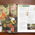 Bộ Sách The Story of Food : An Illustrated History of Everything We Eat 11 11 1