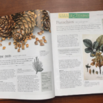 Bộ Sách The Story of Food : An Illustrated History of Everything We Eat 12 12 1