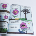 Sách Nhập Khẩu Building Block Science - Trọn Bộ 32 Cuốn Bìa Mềm 11 Building Block of Science