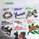 Sách Nhập Khẩu Building Block Science - Trọn Bộ 32 Cuốn Bìa Mềm 12 129