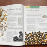 Bộ Sách The Story of Food : An Illustrated History of Everything We Eat 5 5 1