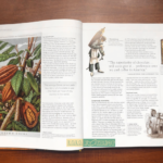 Bộ Sách The Story of Food : An Illustrated History of Everything We Eat 9 9 1