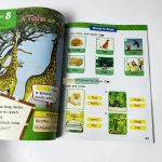 WonderSkills Reading Level Basic