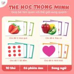 Thẻ Học Thông Minh Gồm 100 Thẻ Với 10 Chủ Đề Song Ngữ Anh - Việt 4 Thẻ Học Thông Minh