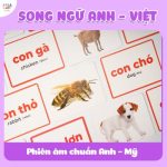 Thẻ Học Thông Minh Gồm 100 Thẻ Với 10 Chủ Đề Song Ngữ Anh - Việt 5 Thẻ Học Thông Minh