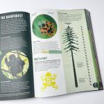 z4515867117559 e96efb055903d5e4f7d26d025223a984