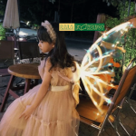 Đồ Chơi Cánh Bướm Tiên Nhấp Nháy Cho Các Bé 3-10 Tuổi 2 Đồ Chơi Cánh Bướm Tiên Nhấp Nháy