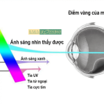 Đèn Học Chống Cận - Đèn Led Để Bàn Tích Điện Có Đồng Hồ Bóng Đèn Mở Rộng Được 180 Độ 6 7 4