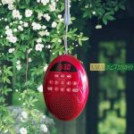 Loa Giọt Nước Kèm Thẻ Nhớ 8 GB 1 Loa Giọt Nước Kèm Thẻ Nhớ 8 GB