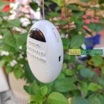 Loa Giọt Nước Kèm Thẻ Nhớ 8 GB 3 Loa Giọt Nước