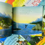 z7064808093738 5a55bc99ac610bc4cbb92794db3e1d5d