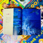 z6223038267979 d322f9b205853ac92e48ea6468bd7b73