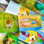 z6223042792448 ee7f3c4c8f51524ec51e9fbe623df345