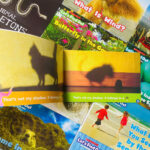 z6223042810845 946ef0e0fb35b5857f8de161920fc70a