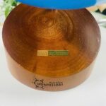 Giáo cụ Montessori quả địa cầu các châu lục 5 z6292946190422 60a5b16ef6d39961ca1d7f7d1420fd61