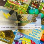 z6295426954094 bb1f2b2d111451b149771ef531be16e2