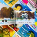 z6295427037432 4f85397d40b9e6ec606e492a3a60f3bf