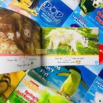 z6295427051945 bad32b9391958fbcb97289cef9645de9