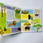 z6309796536074 130cc251bb92ff4297dfc81819bd8de1