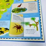 z6309796602930 390b305df517bf496b646a2e7eaa144d