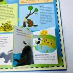 z6309796626406 4d562bb883d6295ecd6ee0fe3fba7ca6