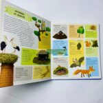 z6309796645880 23af6b05a2965be849a106e2dfdc07c0