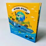 z6309796708356 86318f57da23ed8cf6925390cb495033