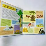 z6309796732941 7b36a48b7db6e9a432e8b3d1c7e7027e