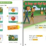 Sách Wonder Skills Reading Level Starter– Trọn Bộ 6 Cuốn, 3 Grade ( Kèm Audio ) 6 873 1