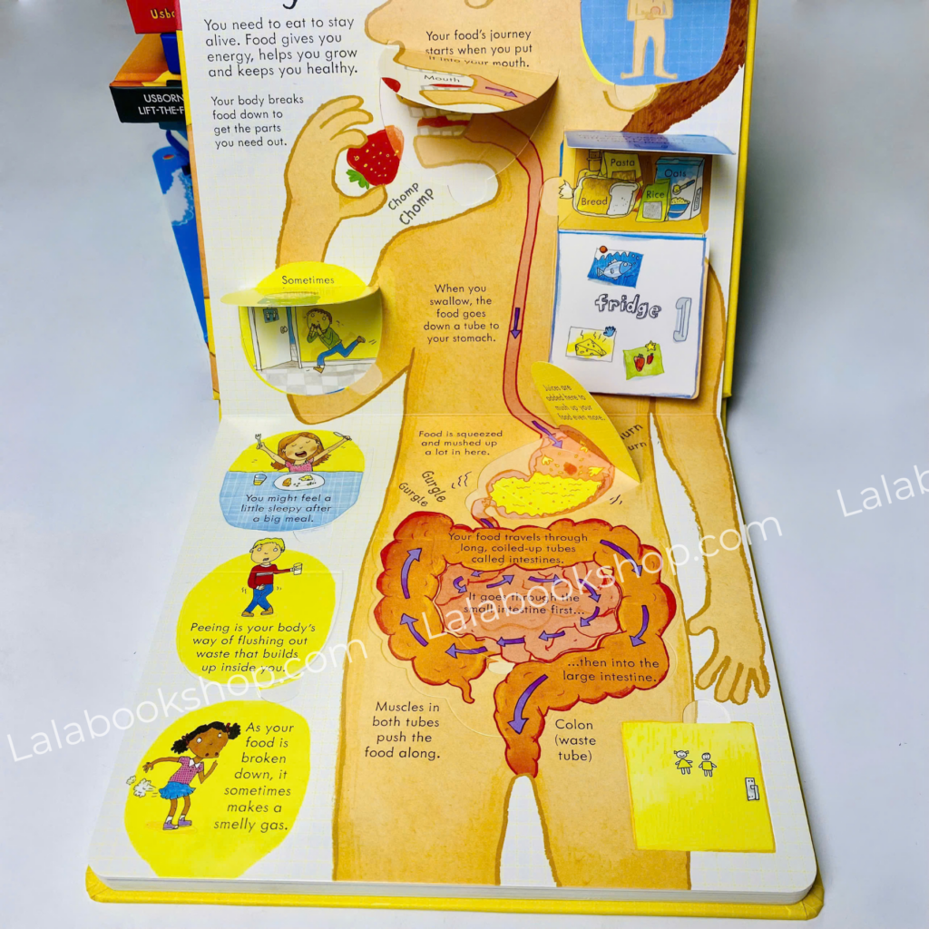 Look inside Your Body