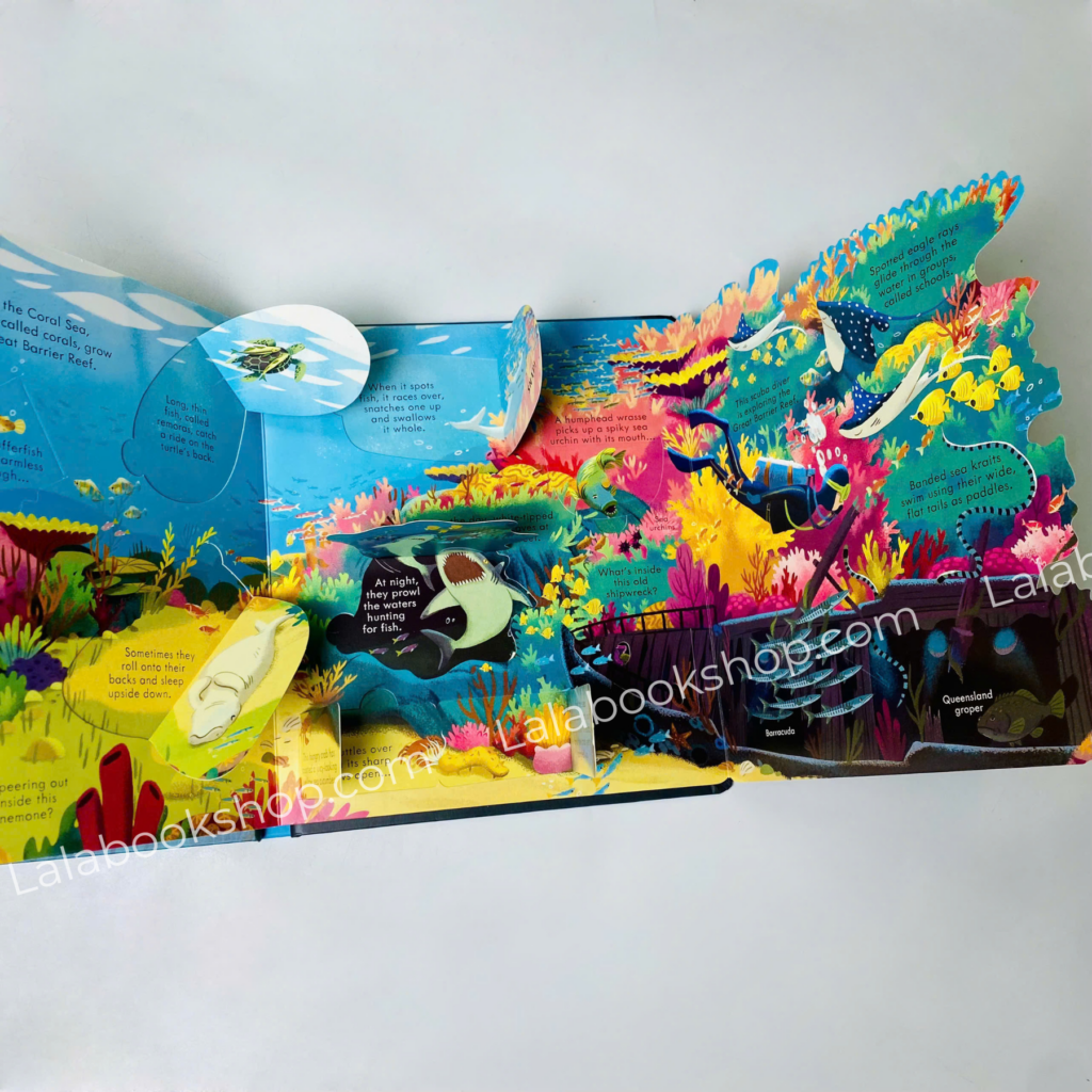 Look Inside Seas and Oceans l