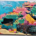 look inside seas and oceans