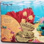 look inside seas and oceans 2