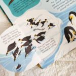 look inside seas and oceanss