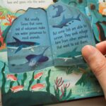 look inside volcanoes and earthquakes author emily bonepublished by usborne publishing usborne books in jan 2023usborne emilybone baoluu baoluuart lookinsidevolcanoesandearthquakes volcano volcanoe 8