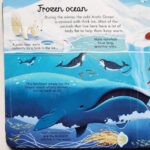 p0077804709127 4 56978688