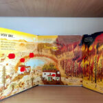 z6723352569940 352f991b4a64b5a7d4e7435e663a1431