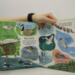 z6723402405313 d9b344b823a7c50e695c1bdcd9739292