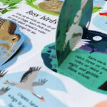 z6723415304620 2c07b7e6716b9c208bdf8880a3795cf9