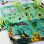 z6723415325690 03e96a4eecaa6b4307a84b9feb5c59cb