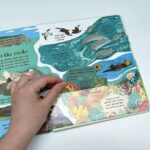 z6723415411362 c7ec49d35a2f772a658fe3b5bf4e3436