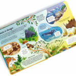 z6723627935716 4febe973826746abab6093b021075b7c