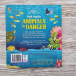 z6723628092953 209dca992bcc5380bca9d4d9c985b6d0