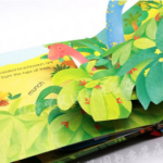 vnkkdvwvrpifxaokewkfsfpjna1tedxchh9kgfhp